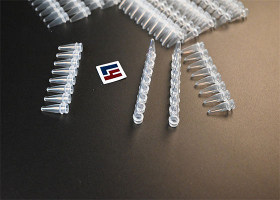 Tubes de microfuge fiables pour la mise en place de la PCR et les techniques d'amplification des acides nucléiques